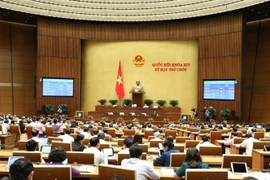 越南第十四届国会第九次会议：讨论两部法案
