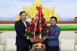 越南党和国家领导致电和送花篮庆祝老挝人民革命党成立65周年
