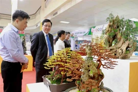分享参加2020年河内“一乡一品”、农业贸易促进展销会的经验