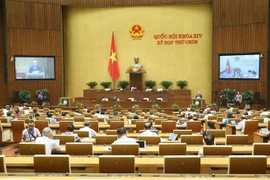 越南第十四届国会第九次会议：提交国会2021-2030年少数民族地区和山区经济社会发展国家目标计划