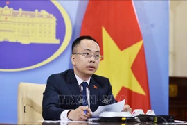 越南反对中国在归属越南的黄沙群岛开展民事活动