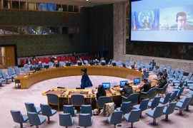 越南呼吁国际社会为维护中非和平与稳定提供支持