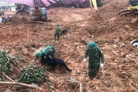 在广治省向化县山体滑坡事件牺牲的22名干部战士追悼会将于22日举行