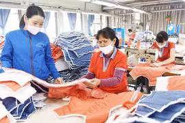 EVFTA——越南经济增速回升的机会