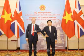 越南政府副总理兼外长范平明同英国外交发展大臣举行会谈