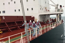 庆和省：成功营救一名在海上遇险的菲律宾船员