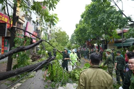 台风“摩羯”给河内造成巨大损失：一人死亡、2800棵树木倒伏