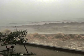 台风“摩羯”登陆海防市 台风强度达到巅峰