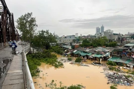 红河水位上涨高 河内多地被洪水淹没