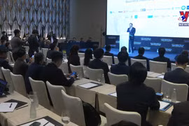 越南参加日本-东盟初创企业对接展会