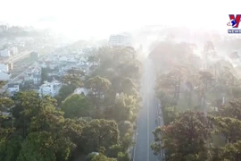 胡志明市和大叻市成为国庆节热搜旅游目的地