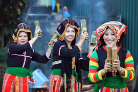 贡族同胞妇女的传统服饰色彩丰富多样。图自 越通社《越南画报》