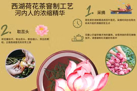 西湖荷花茶窨制工艺——河内人的浓缩精华