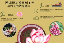 西湖荷花茶窨制工艺——河内人的浓缩精华