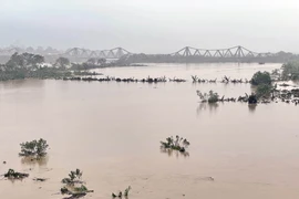 洪水持续上涨导致城市内涝，河内的洪水防御应急响应提升至二级。图自越通社