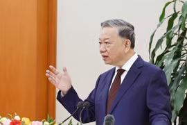 越共中央总书记苏林《精、简、强、效率、效力、效果》文章的重要内容（三）