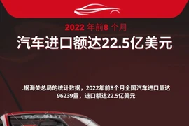 图表新闻：2022年前8个月汽车进口额达22.5亿美元