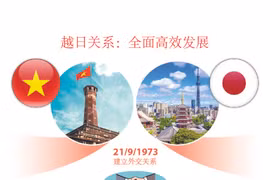图表新闻：越日关系：全面高效发展