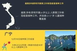 图表新闻：越南多地即将开展第三针新冠疫苗接种工作