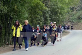 附图：国际游客在沙巴观光旅游