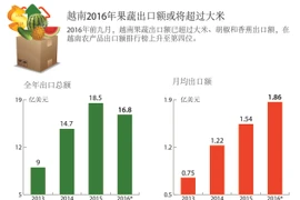 越南2016年果蔬出口额或将超过大米