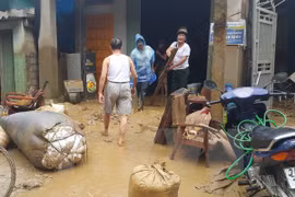 老街省抓紧时间开展救灾恢复重建工作
