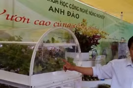 ​附图（图片来源：因特网）