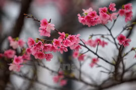 附图