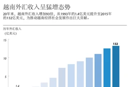 越南外汇收入呈猛增态势