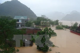 台风给中部地区造成巨大后果