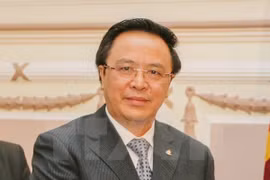 越共中央对外部部长黄平君（图片来源：越通社）