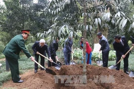 阮富仲总书记在K9遗迹区胡志明主席办公室前植树留念（图片来源：越通社）