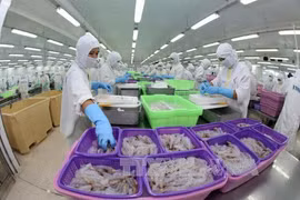 越南和美国就越南虾类产品反倾销问题达成协议