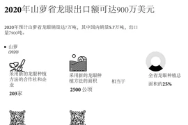 图表新闻：2020年山萝省龙眼出口额可达900万美元