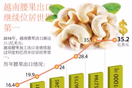 图表新闻：越南腰果出口继续位居世界第一