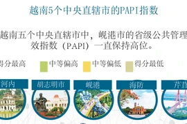 图表新闻：越南5个中央直辖市的PAPI指数