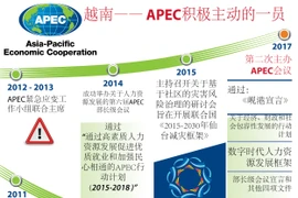 图表新闻：越南—— APEC积极主动的一员