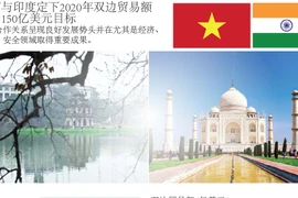 图表新闻：越南与印度定下2020年双边贸易额达到150亿美元目标