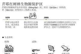 图表新闻：芹耶红树林生物圈保护区