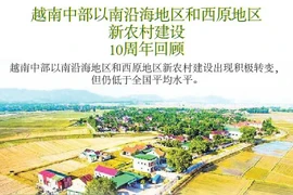 图表新闻：越南中部以南沿海地区和西原地区新农村建设10周年回顾