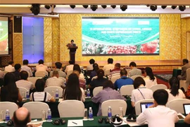 越南学习借鉴龙眼与荔枝生产国际经验