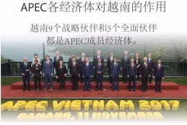 图表新闻：APEC各经济体对越南的作用
