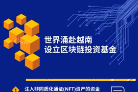 图表新闻：世界涌赴越南设立区块链投资基金