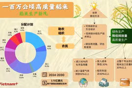 100万公顷优质稻田提案所带来的利益