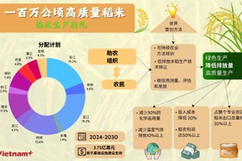 100万公顷优质稻田提案所带来的利益