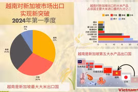 越南农水产品对新加坡市场出口增长强劲
