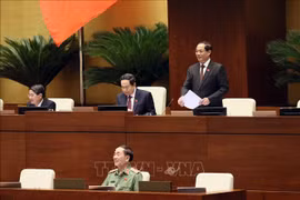 国会副主席陈光方主持会议。图自越通社