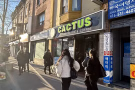 Cactus在首都多伦多市开设的越南咖啡店。