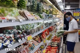 附图。图自越通社
