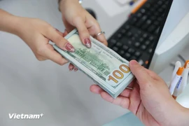 附图。图自越通社
